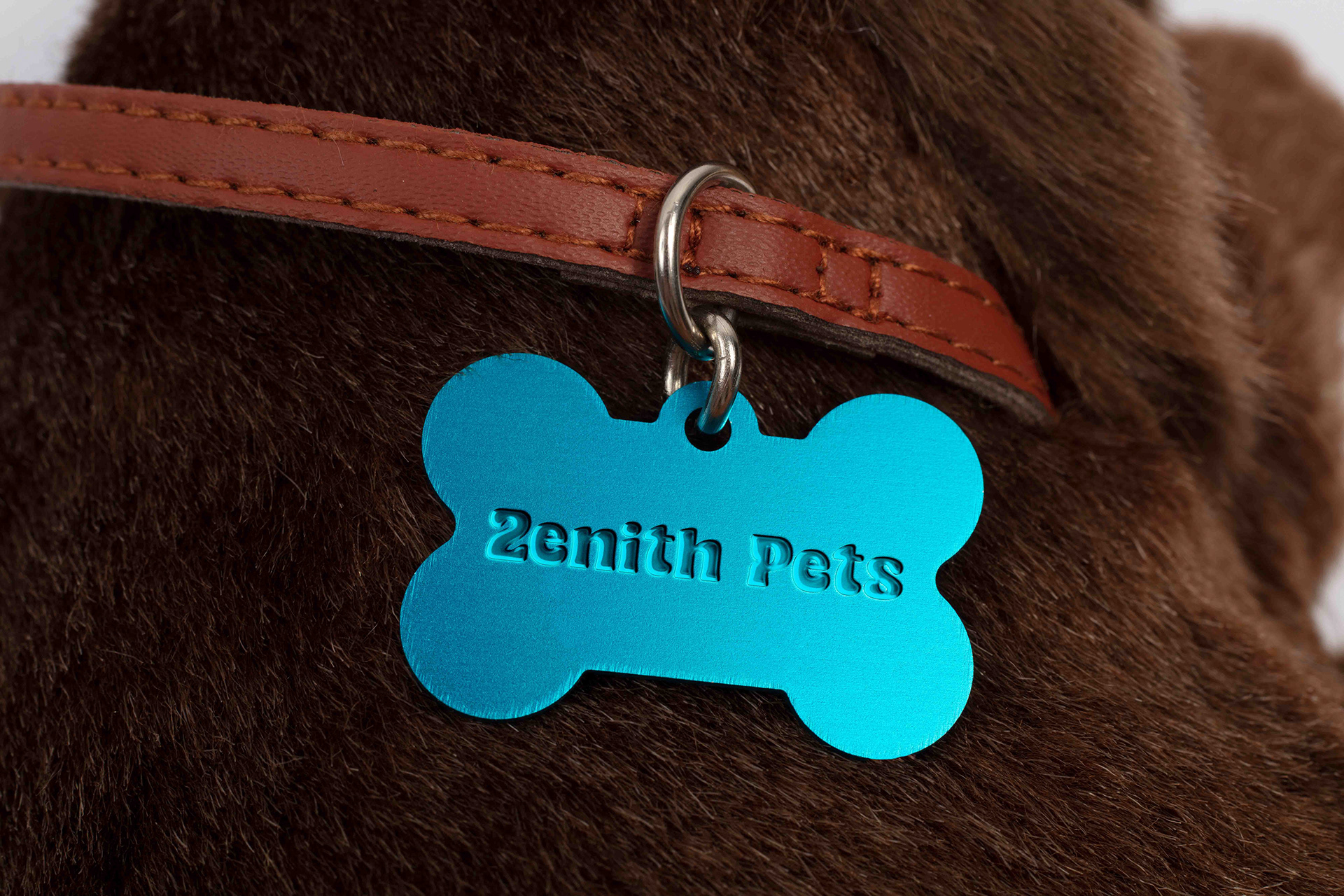 Logo Design | Zenith Pets